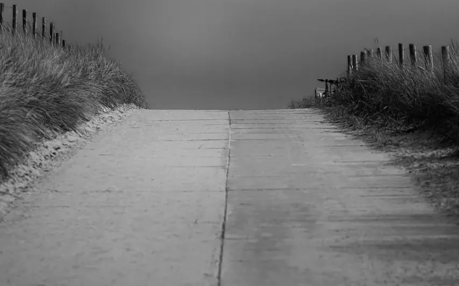 Wie schreckliche Worte über Suizid entstanden und warum sie bis heute verletzen Ein betonierter Weg führt bergauf zu einem Strand, flankiert von Sand und hohem Gras, vor einem dunstigen Himmel.