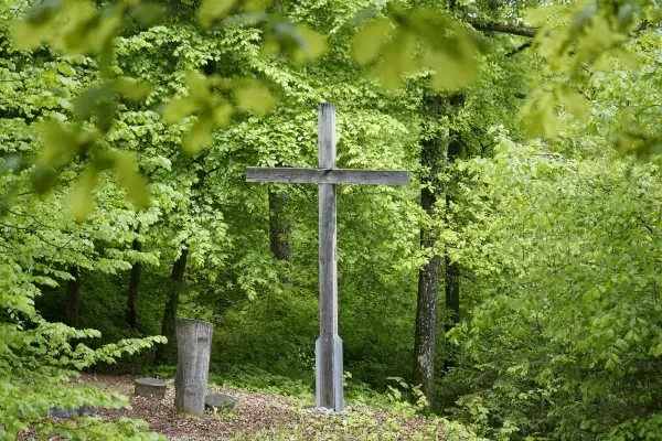 In einem üppig grünen Wald steht ein schlichtes Holzkreuz, umrahmt von überhängenden Blättern.