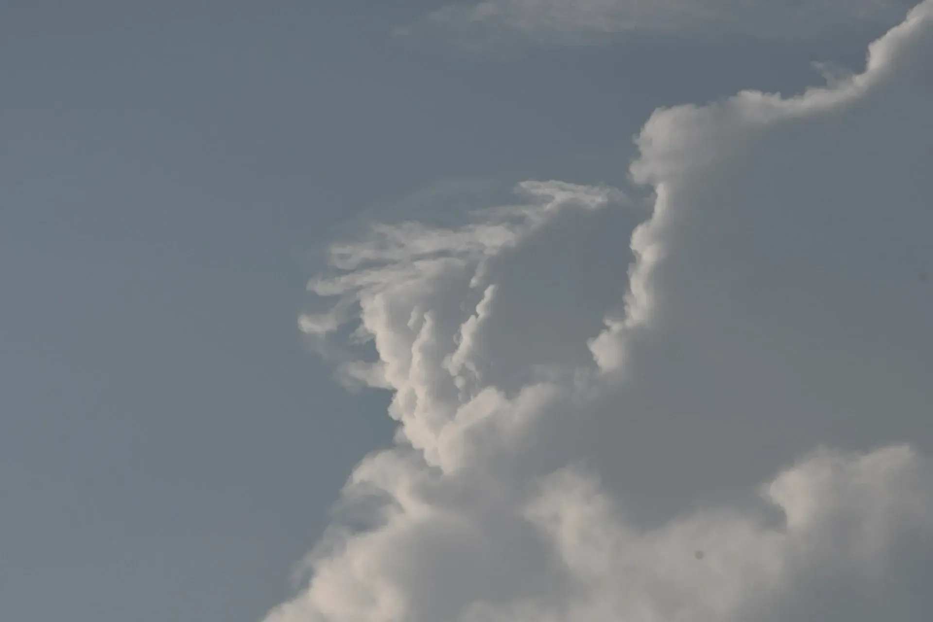 Eine große, weiße, wogende Cumuluswolkenformation vor einem sanftgrauen Himmel.