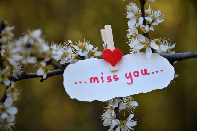 Ein Schild mit der Aufschrift „...miss you...“ hängt an einem blühenden Zweig.