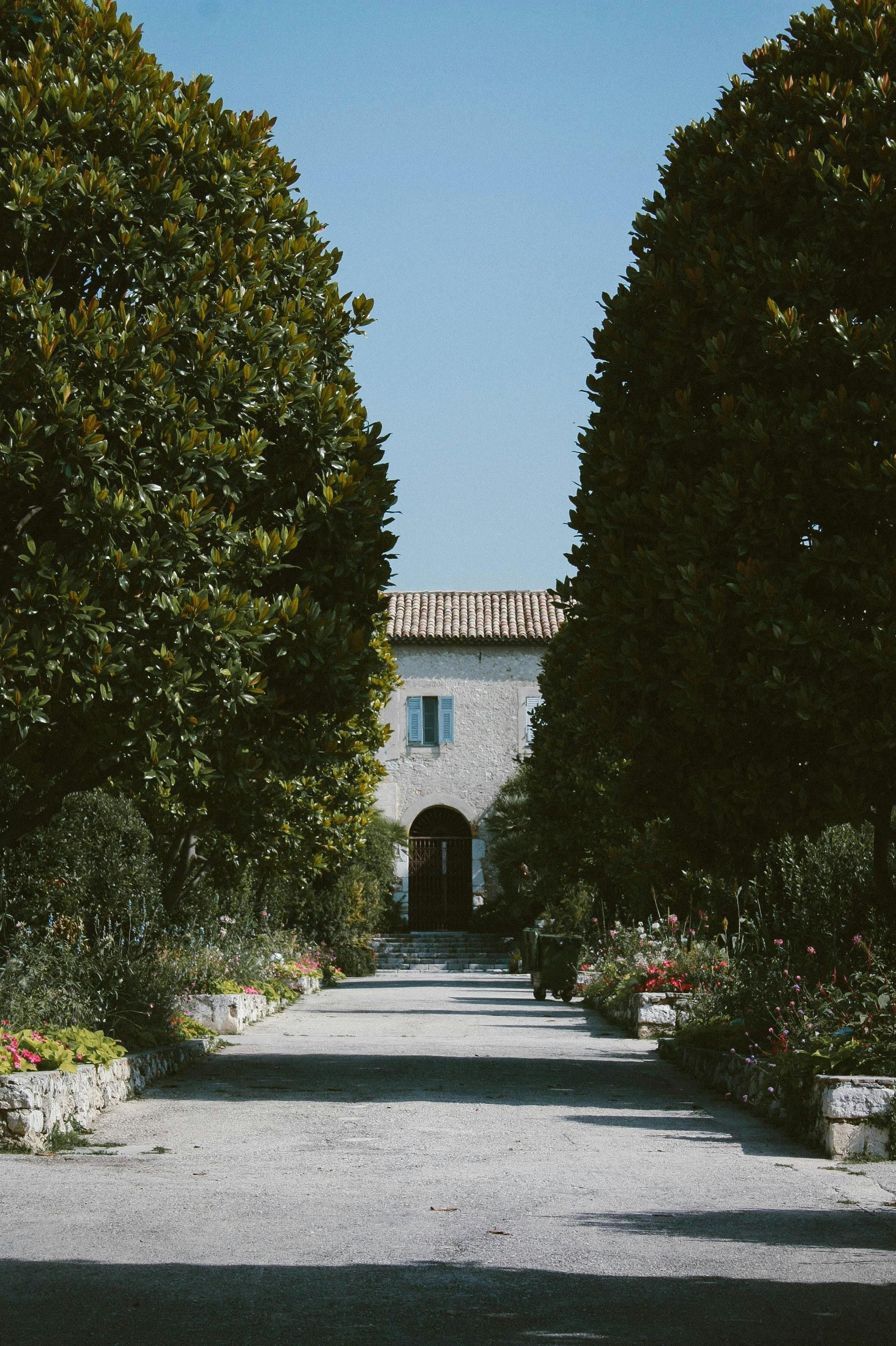 Un chemin de gravier bordé d'arbres mène à un bâtiment blanc avec une porte cintrée sous un ciel bleu.
