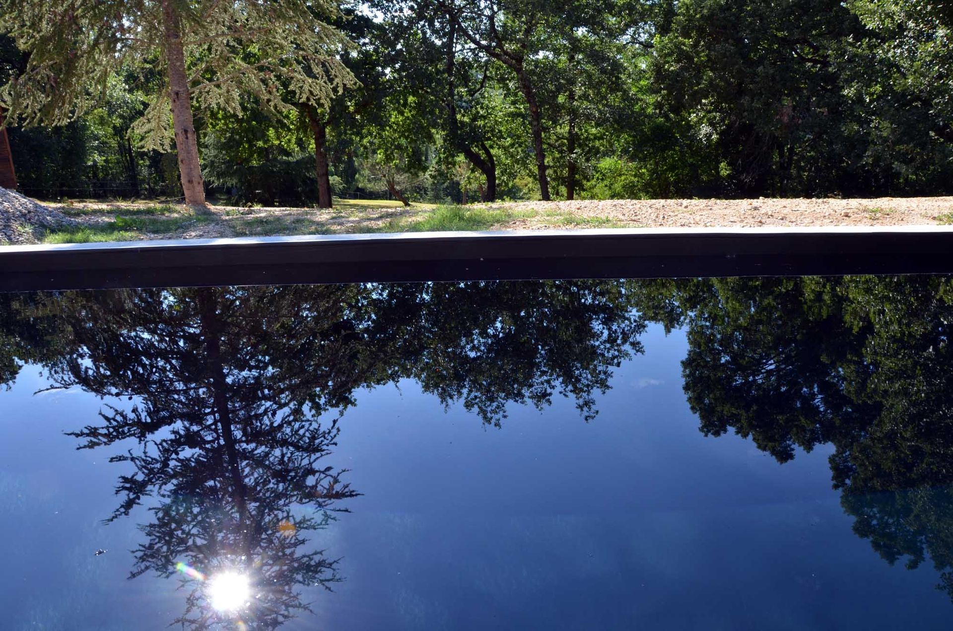 L'eau calme reflète les arbres et le soleil, près d'une limite forestière, avec un ciel ensoleillé.