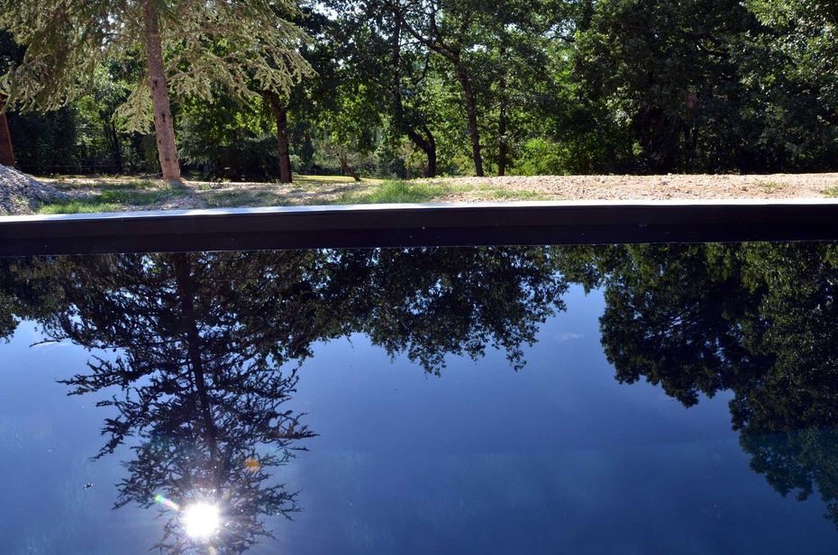 L'eau calme reflète les arbres et le soleil, près d'une limite forestière, avec un ciel ensoleillé.