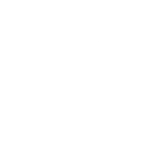 Icono