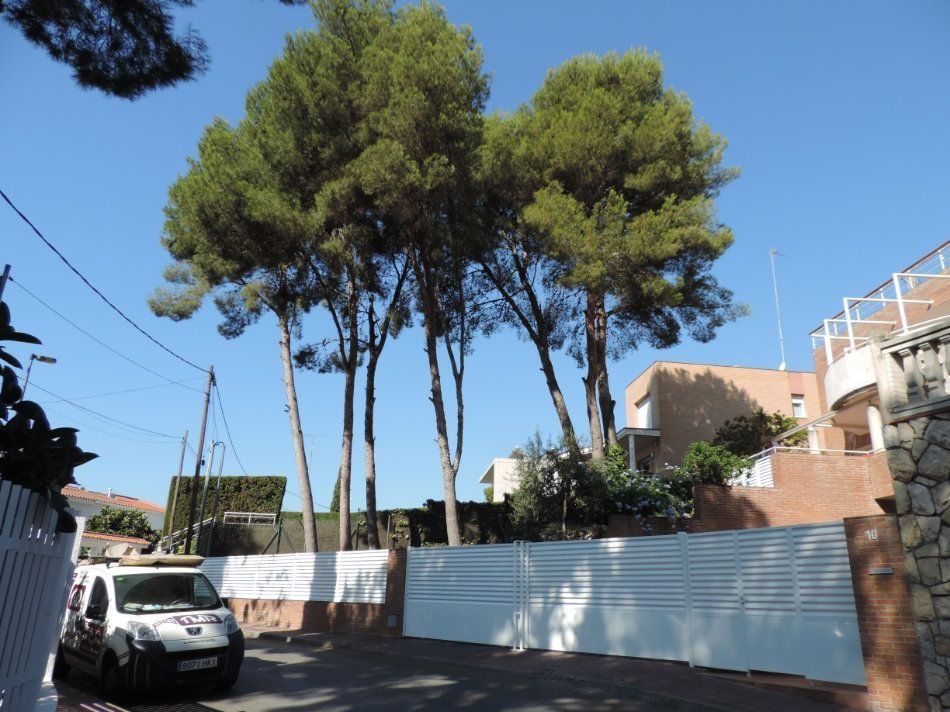 Árboles altos sobre una puerta blanca y un edificio, con una camioneta de servicio estacionada en frente.