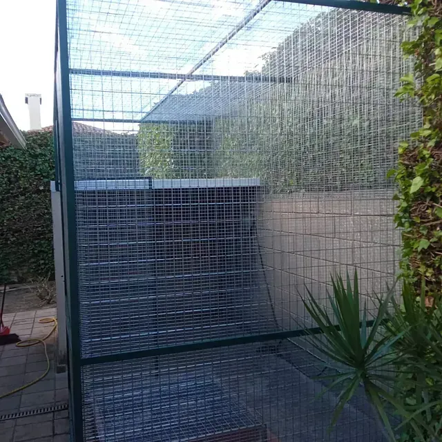 Jaula de alambre verde en un patio trasero con una planta y un seto.