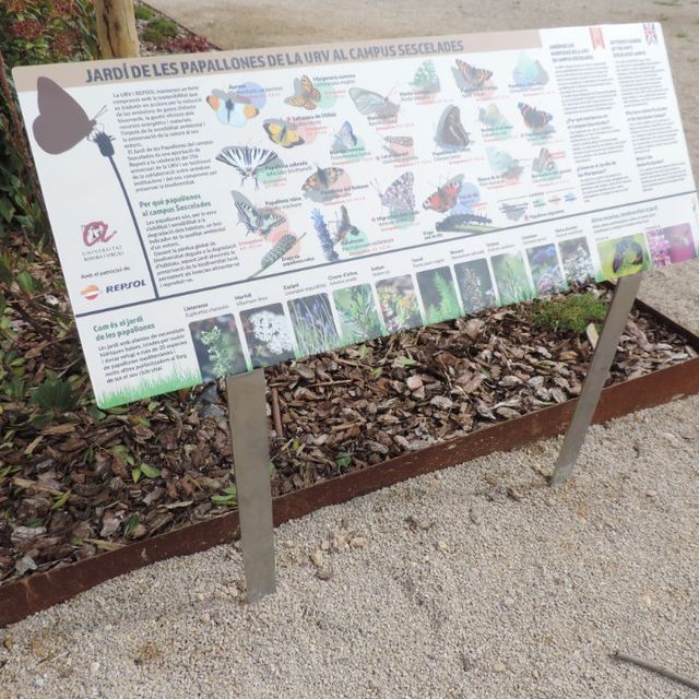 Cartel en un jardín que muestra información sobre mariposas e identificación de plantas.