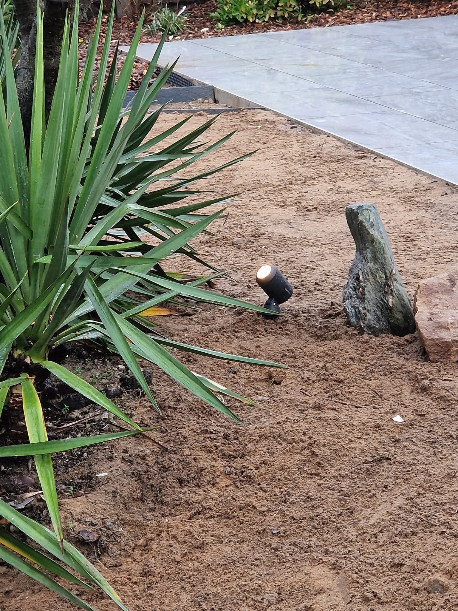 Un petit projecteur de jardin illumine un parterre recouvert de paillis, à côté d'un yucca et de deux rochers.