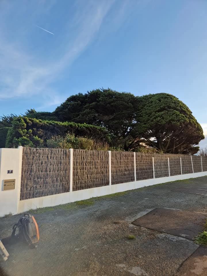 Un mur blanc surmonté d'un claustra en bois, donnant sur une allée pavée avec une grande haie taillée et des arbres à l'arrière.