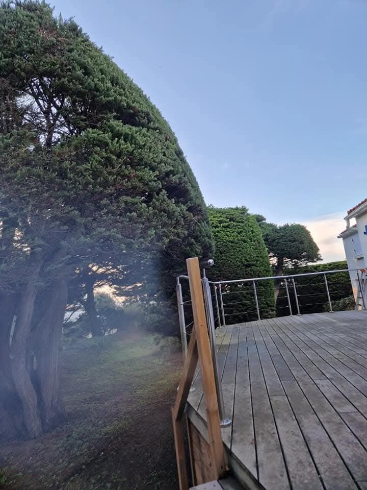 Un grand arbre sculpté se dresse près d'une terrasse en bois au crépuscule, avec une légère fumée ou brume flottant près de sa base.