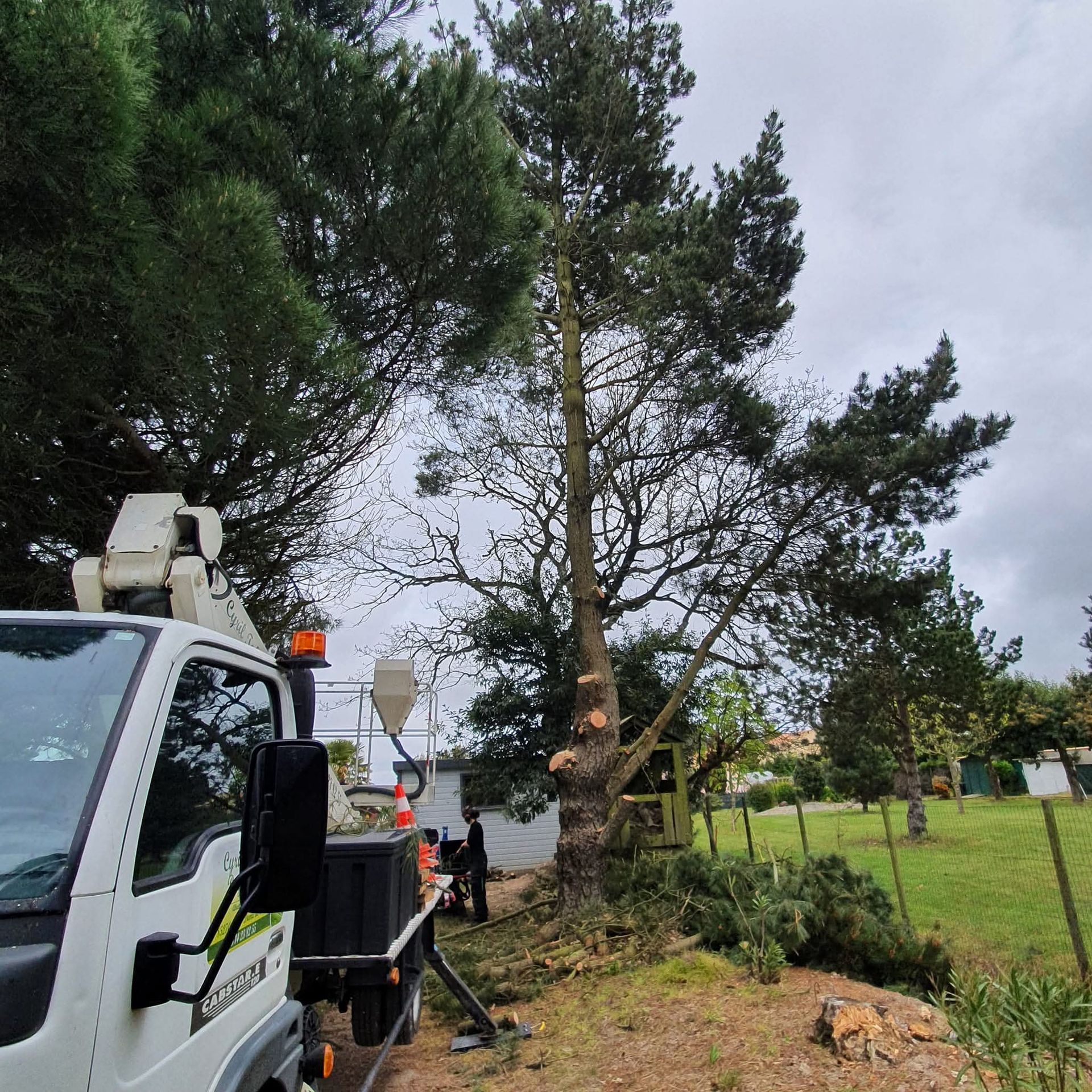 Un camion-nacelle blanc est stationné à côté d'un grand arbre partiellement taillé, dans un quartier résidentiel herbeux sous un ciel nuageux.
