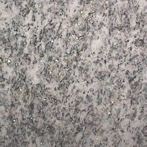 Beola Argentata-Lodrino