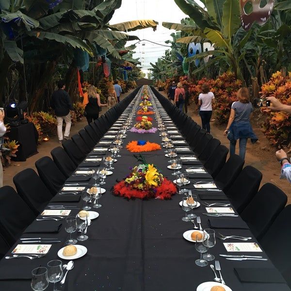Una mesa larga con un ramo de flores encima.