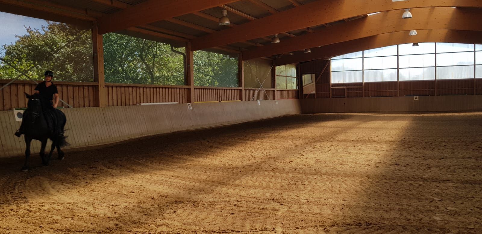 Eine Reithalle von innen