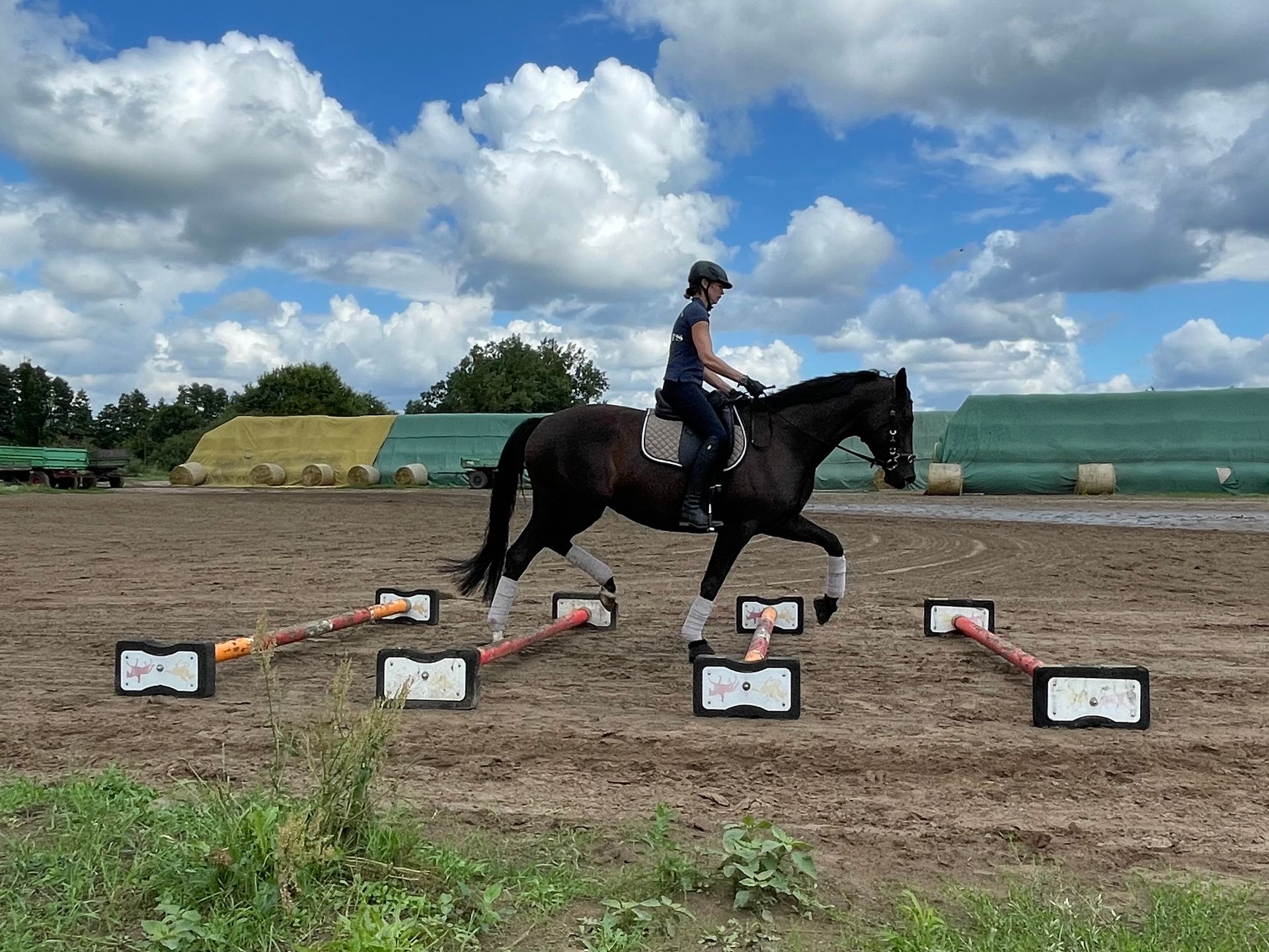 Eine Frau reitet auf einem schwarzen Pferd in einem Feld