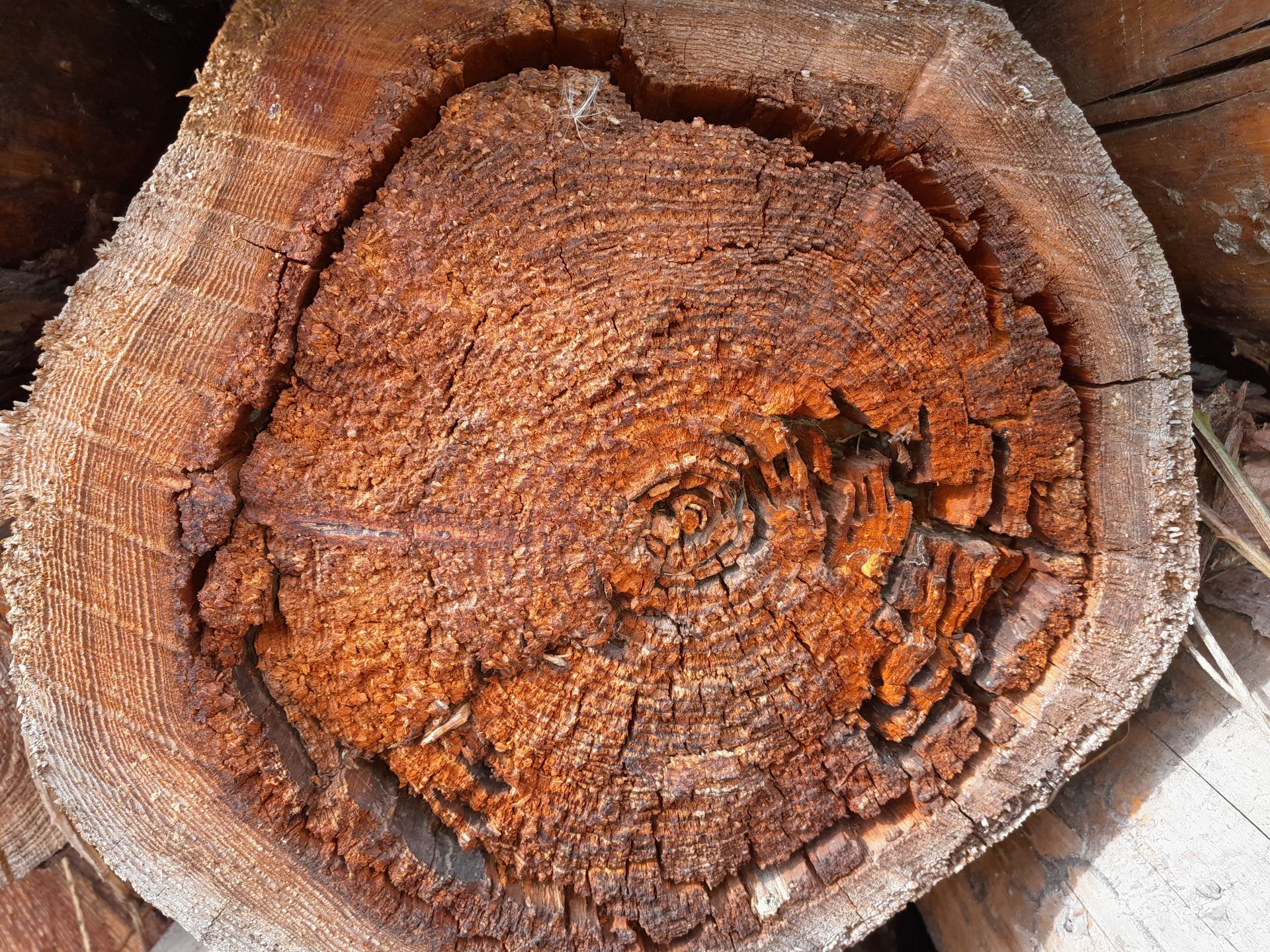 Eine Nahaufnahme eines Stück Holz mit einem Loch darin