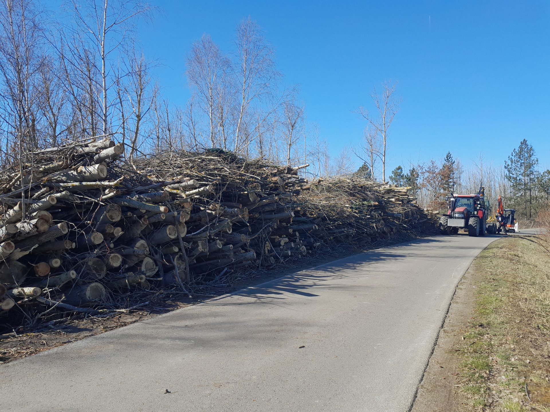Ein Lastwagen fährt auf einer Straße neben einem Stapel Baumstämme entlang.