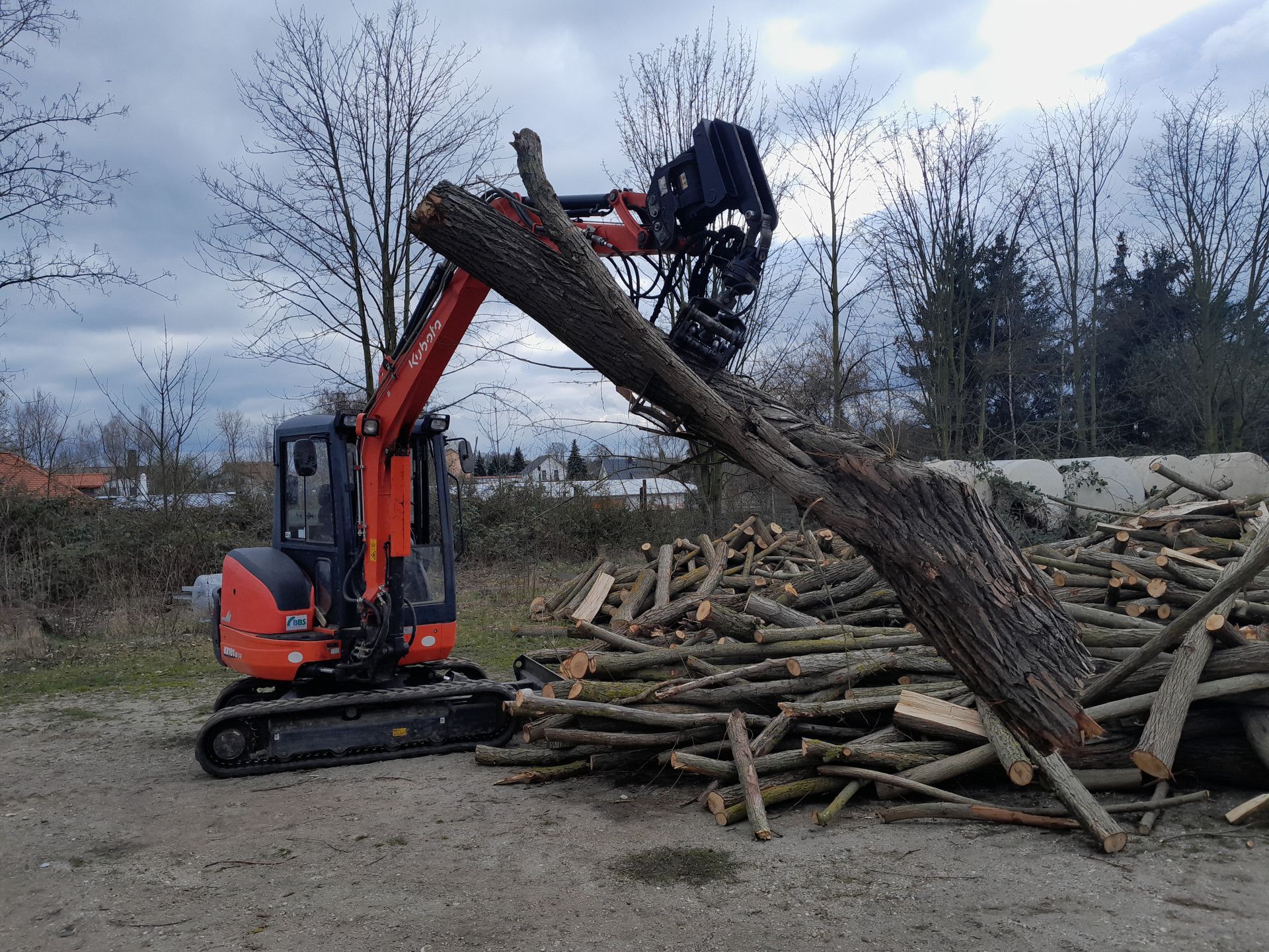Ein Bagger hebt einen großen Baumstamm aus einem Stapel Baumstämme an.