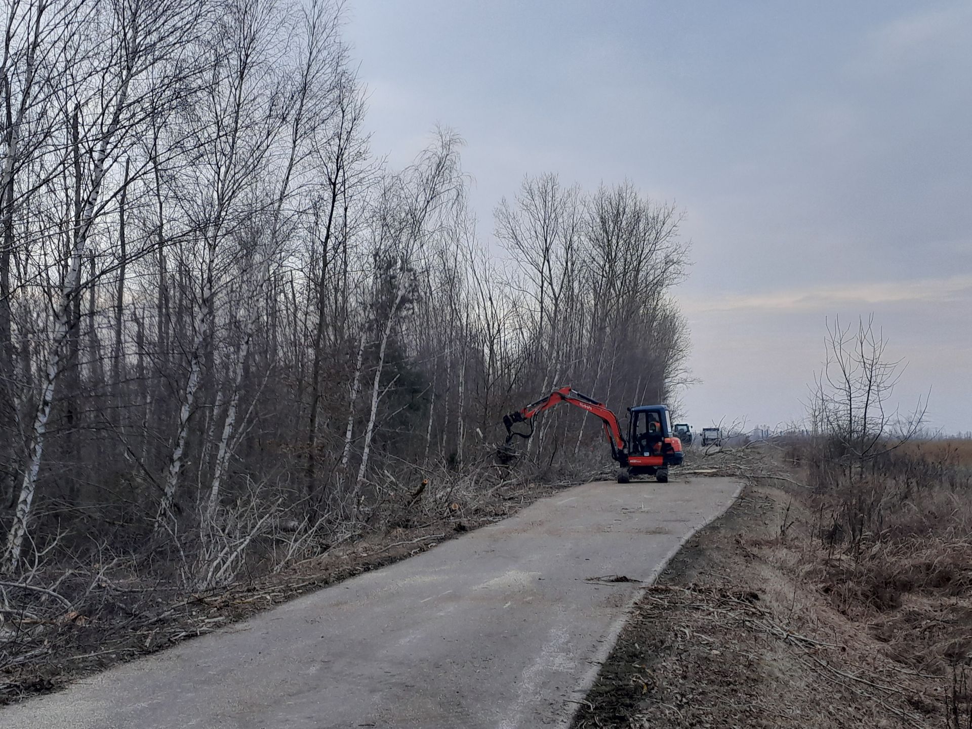 Ein roter Bagger fährt eine Straße entlang, die an einem Waldstück entlangführt.