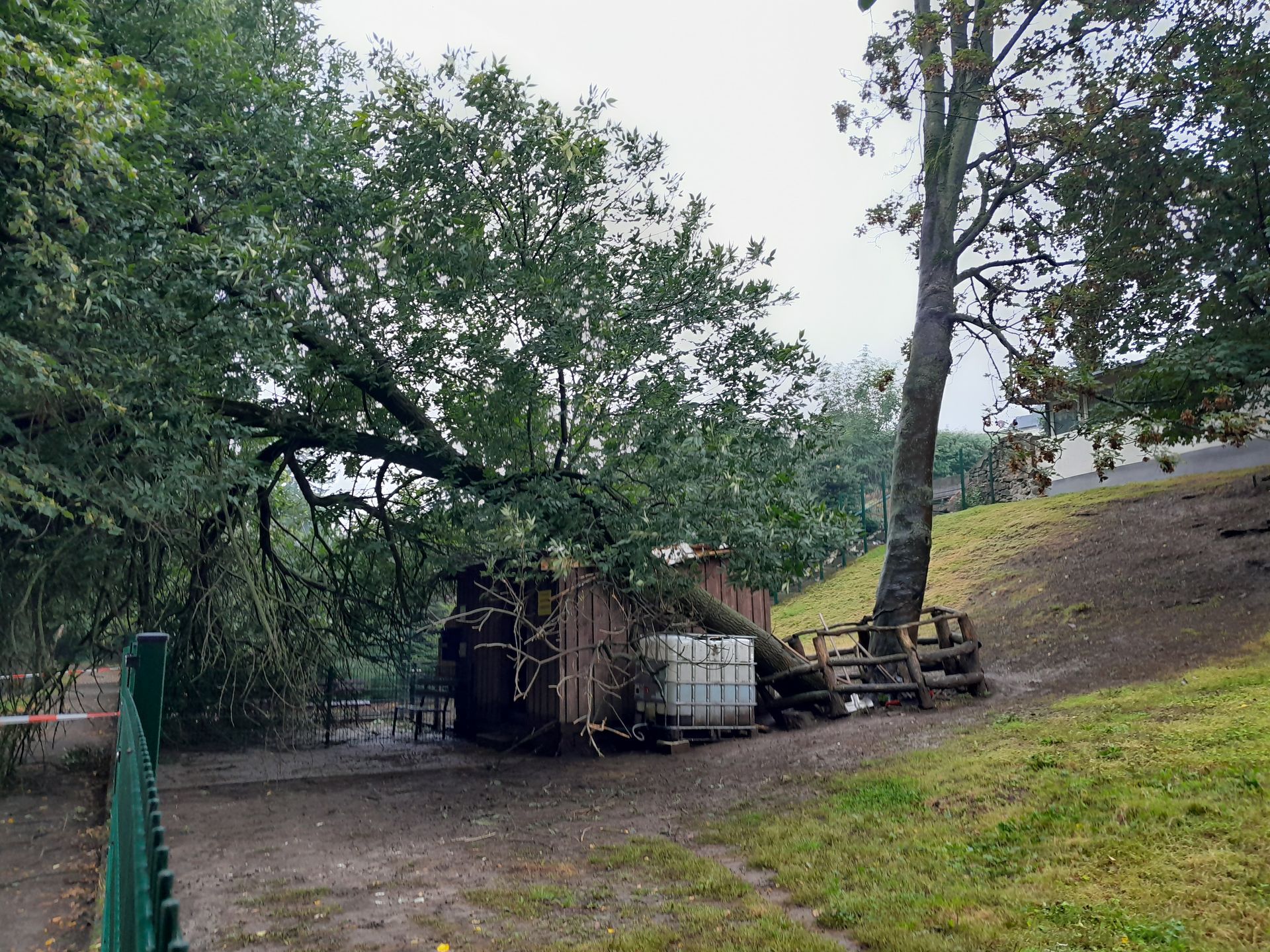 In einem Park ist ein Baum auf ein Gebäude gefallen.