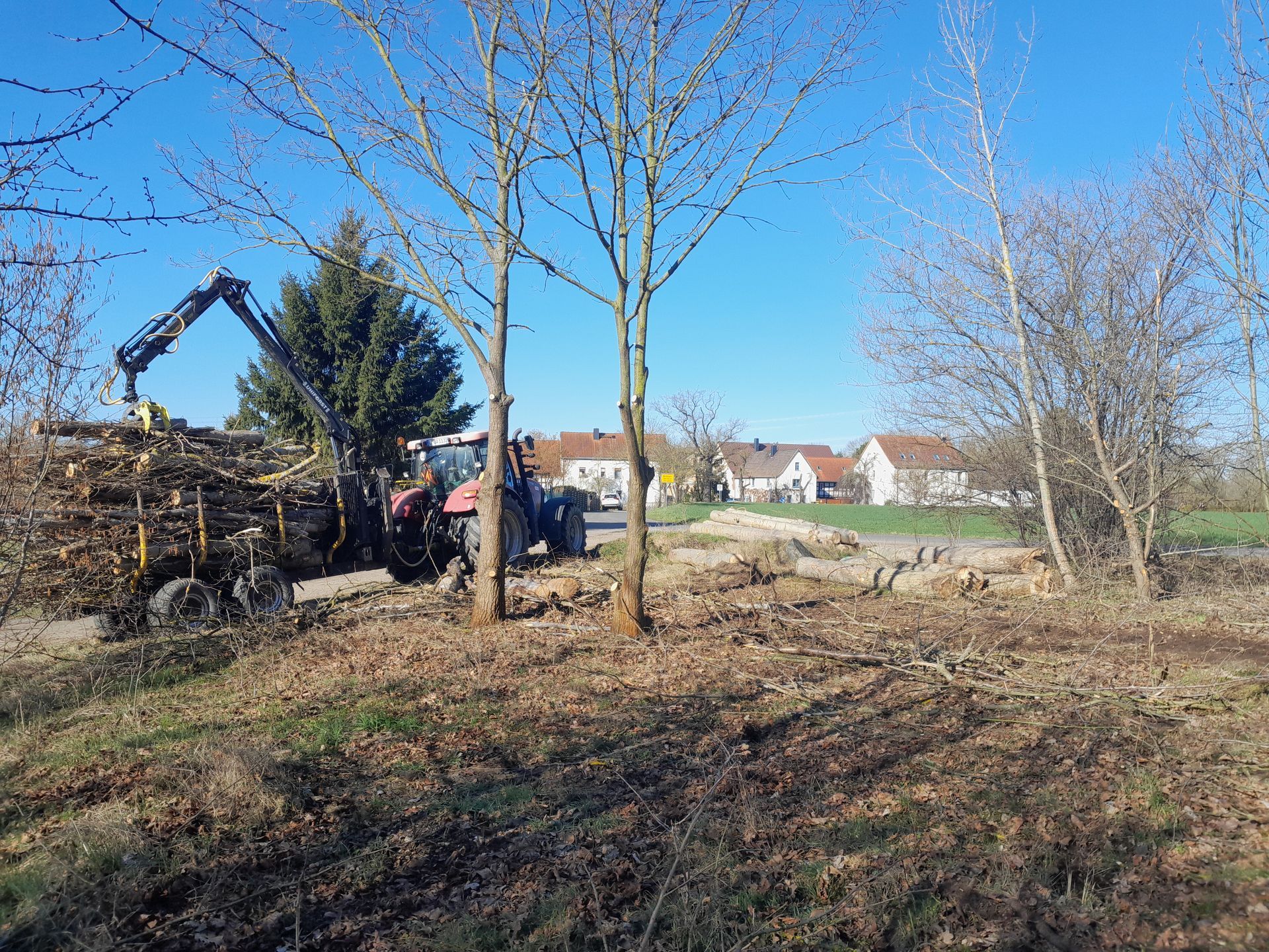 Auf einem Feld lädt ein Traktor Baumstämme in einen Lastwagen.