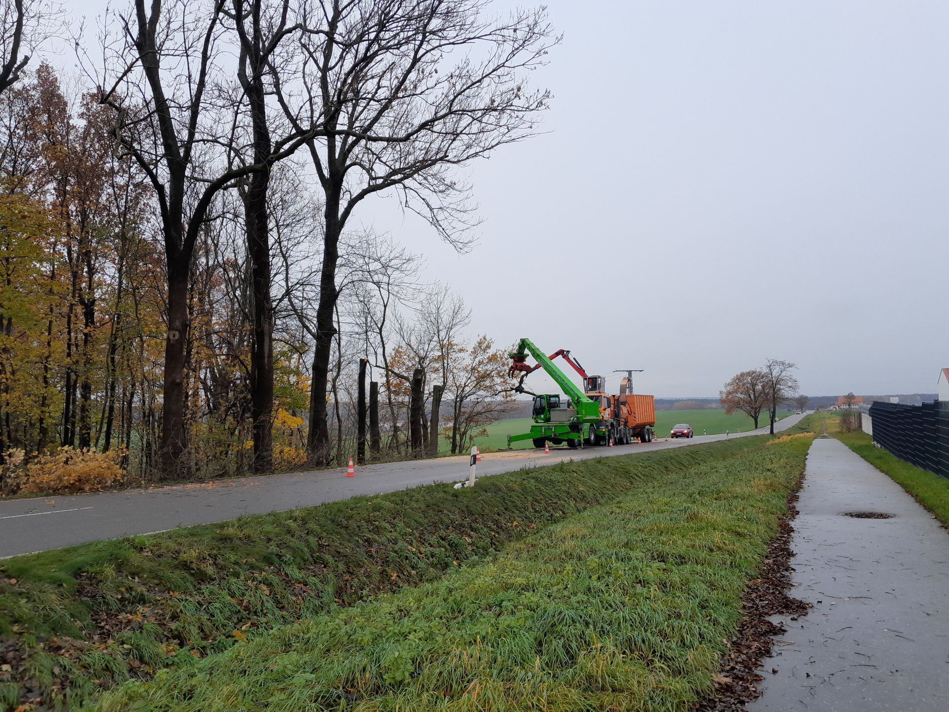Eine grüne Maschine fällt Bäume am Straßenrand.
