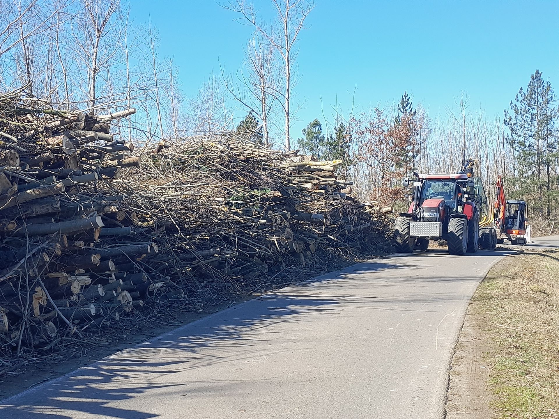 Ein Traktor fährt auf einer Straße neben einem Stapel Baumstämme entlang.