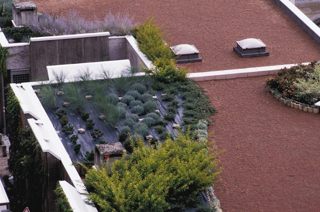Toit-terrasse végétalisé avec une étandue de graviers.