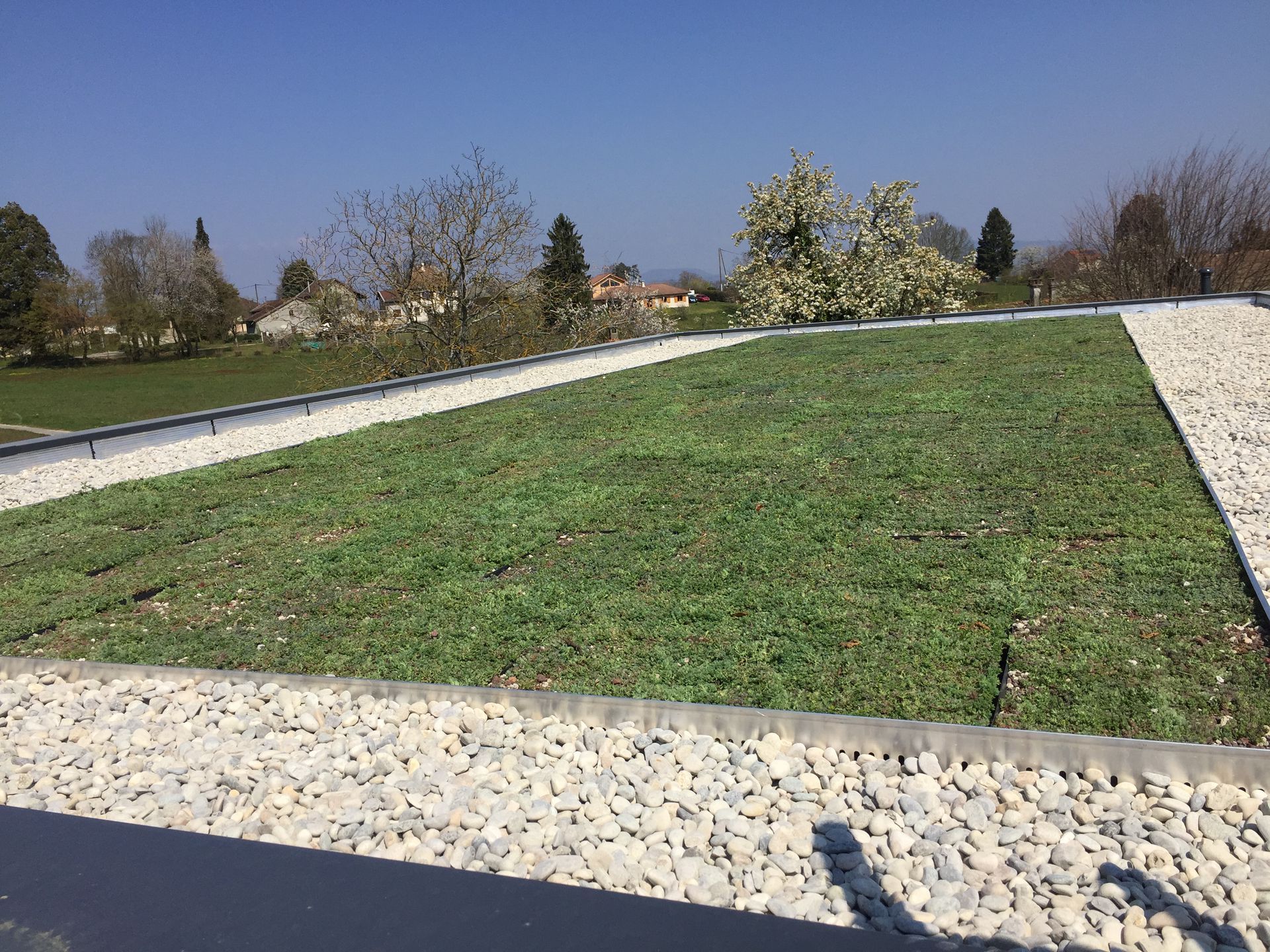Toit-terrasse gazonné avec des allées de gravier blanc sous un ciel dégagé.