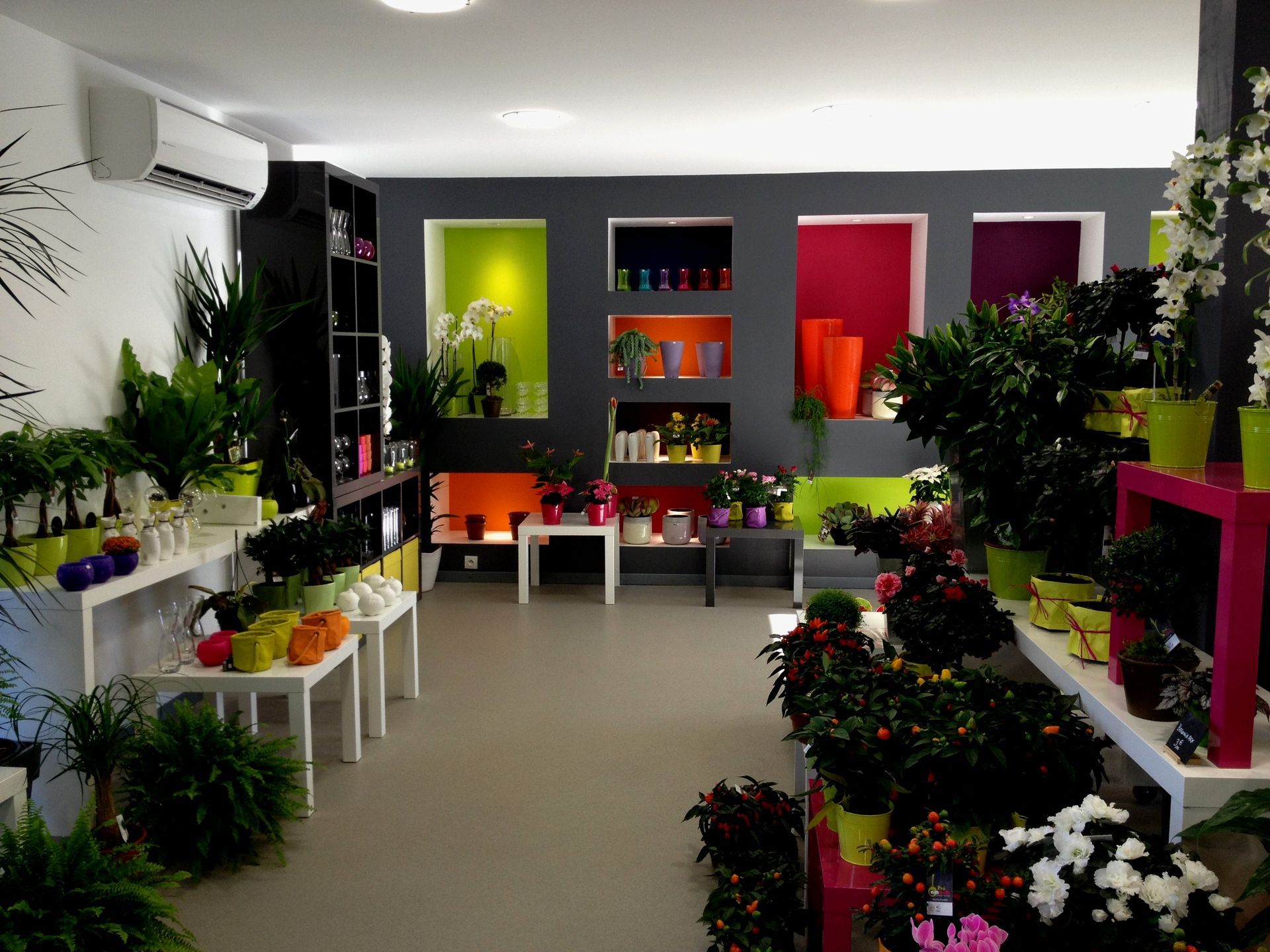 Magasin de plantes d'intérieur lumineux avec des fleurs colorées, des plantes en pot et des étagères blanches.