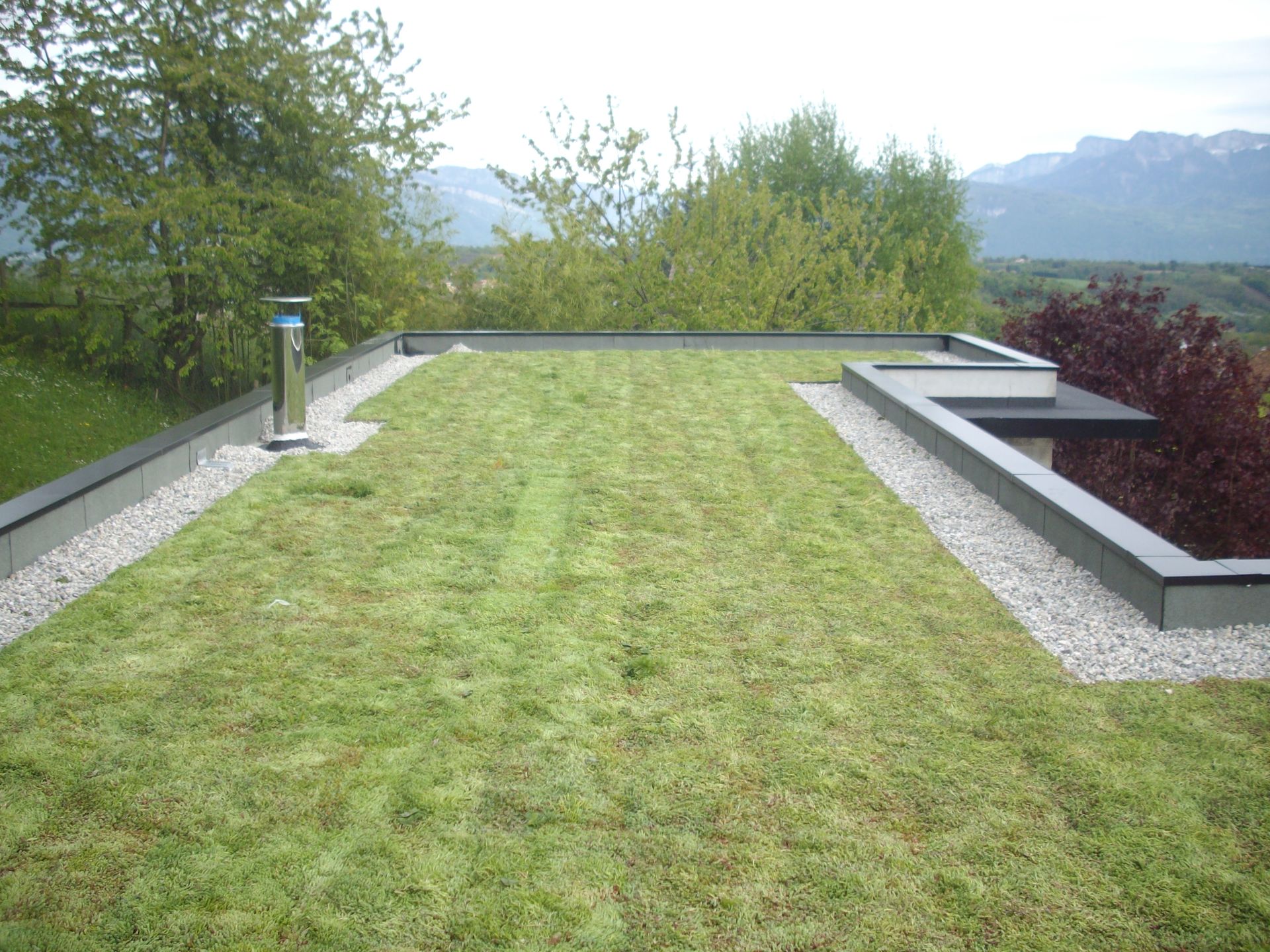 Terrasse sur le toit recouverte de gazon, bordée de gravier, d'arbustes.