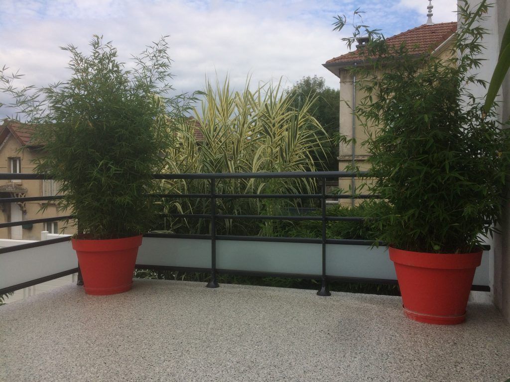 Balcon avec deux arbustes rouges en pot, rambarde noire et hautes herbes au-delà