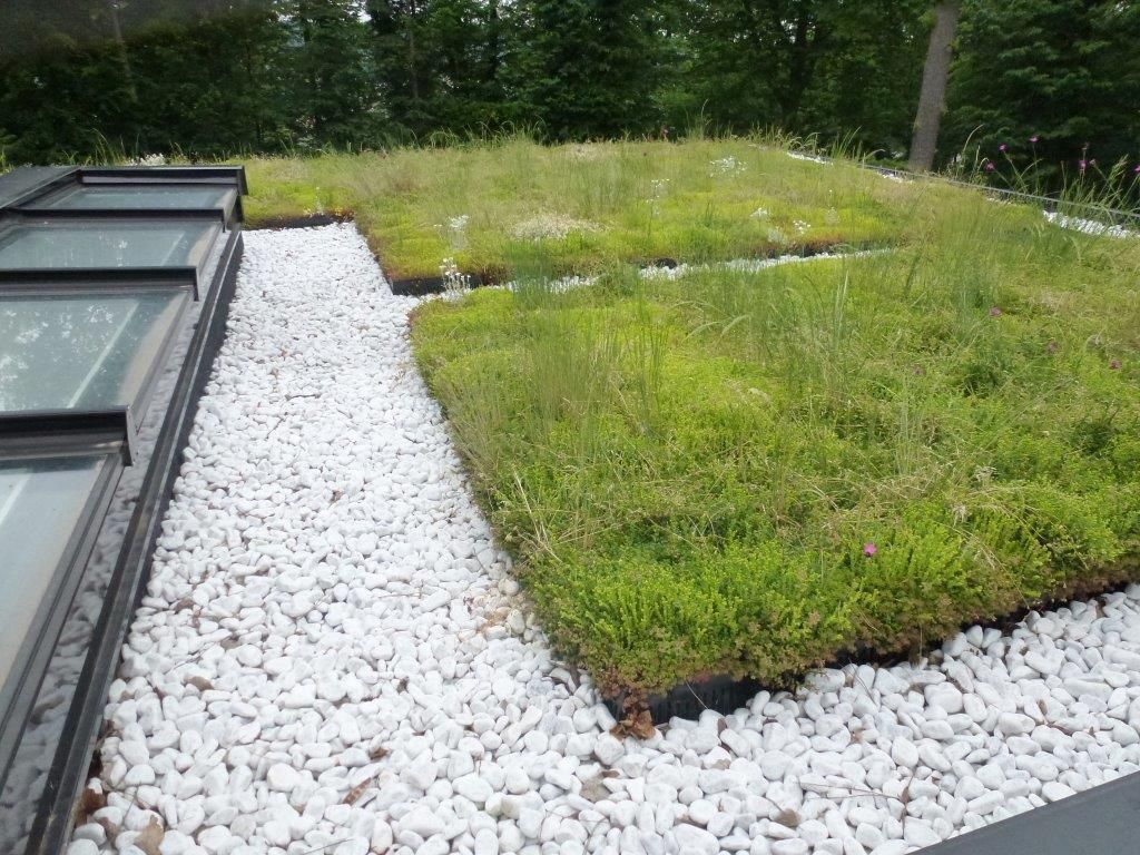Toit-terrasse aménagé en jardin avec des parterres de verdure bordés de gravier blanc