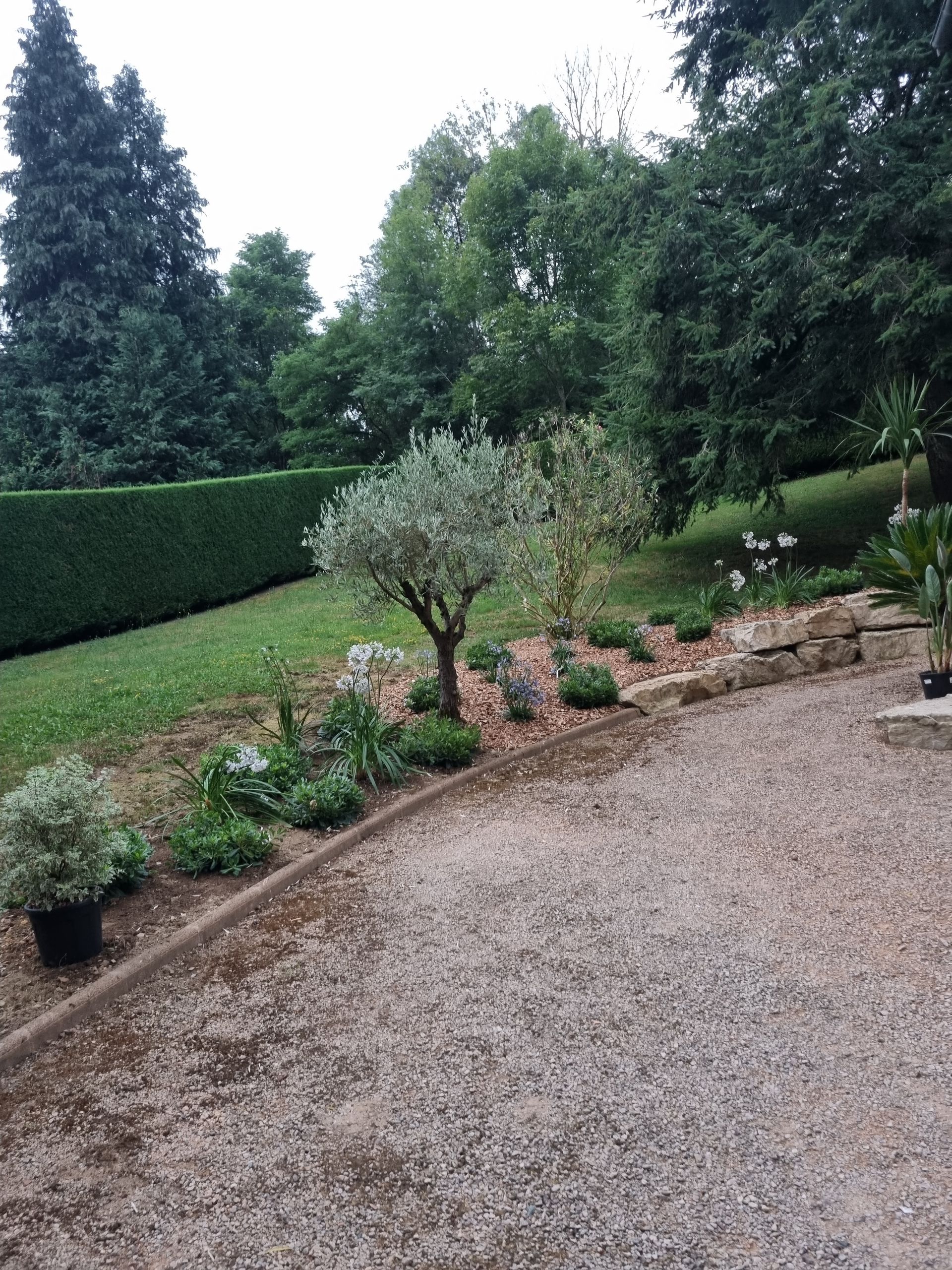 Allée de jardin en gravier bordée de plantes en pot, d'arbustes et d'arbres sous un ciel couvert