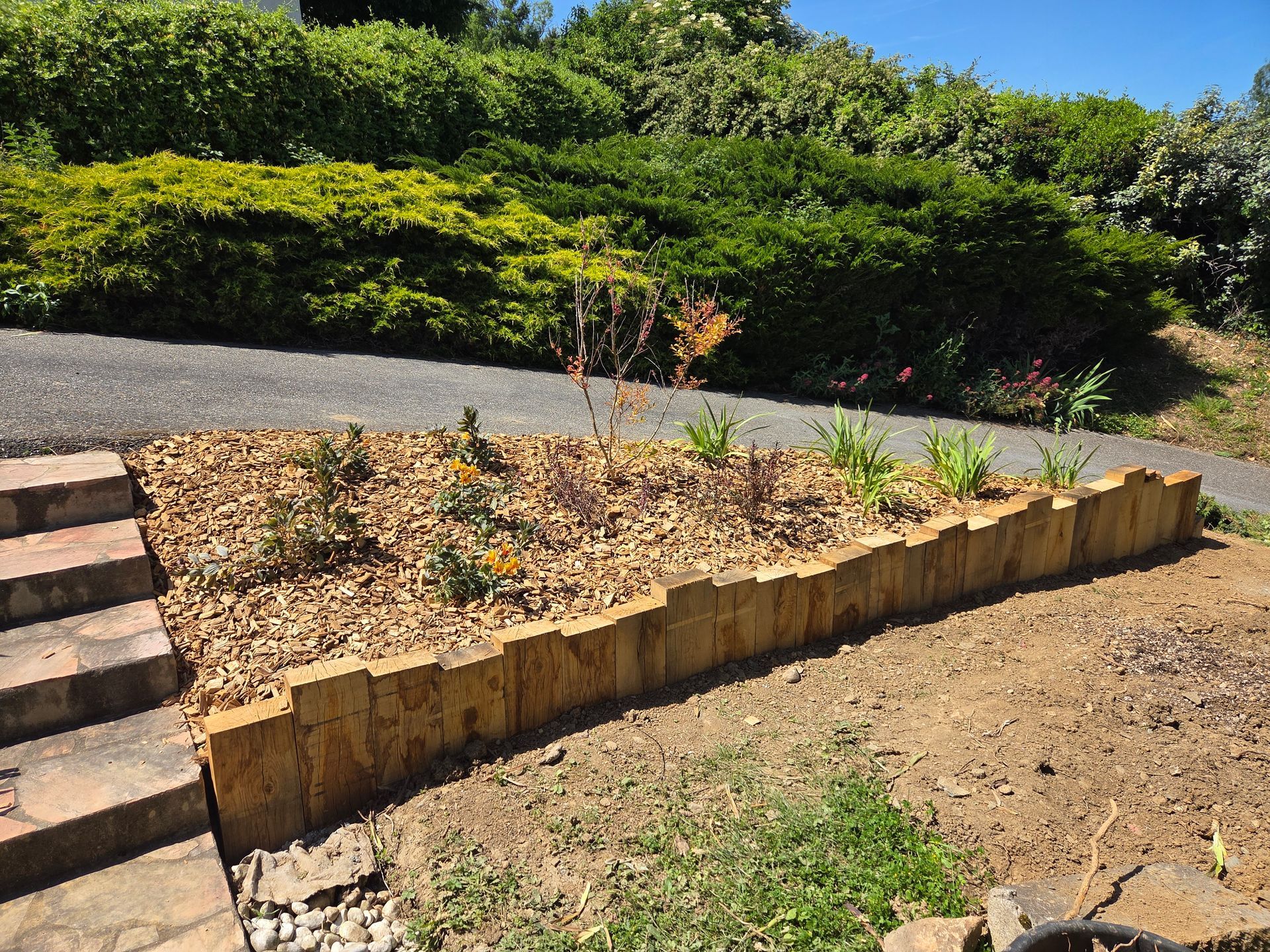 Jardinière surélevée avec de jeunes plants à côté de marches, d'un chemin de gravier et d'arbustes verts baignés de soleil.