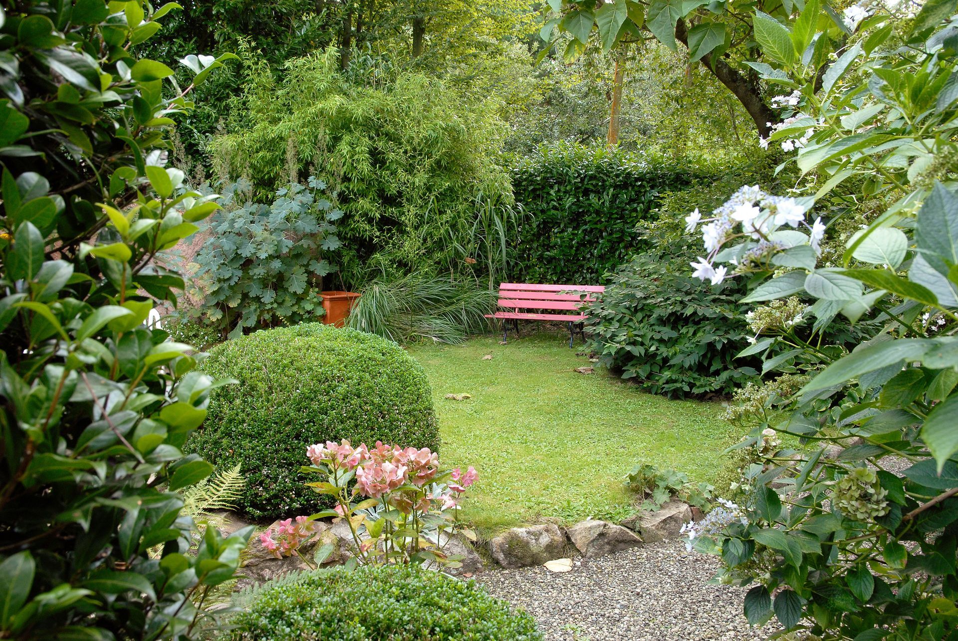 Jardin luxuriant avec arbustes verts, banc rose et allée de gravier sous des arbres feuillus