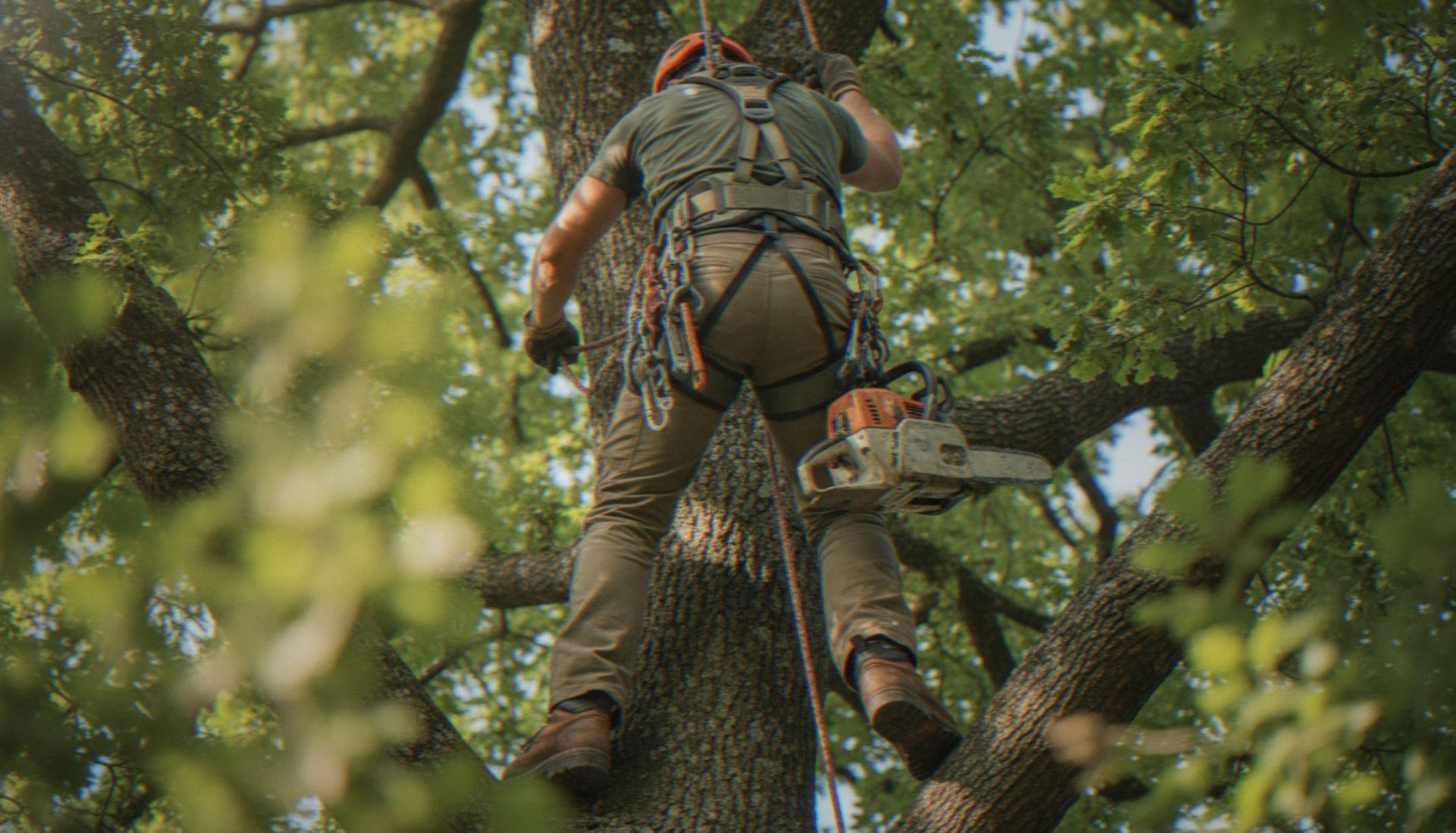 Un cordiste harnaché escalade un tronc d'arbre au milieu d'un dense feuillage vert.