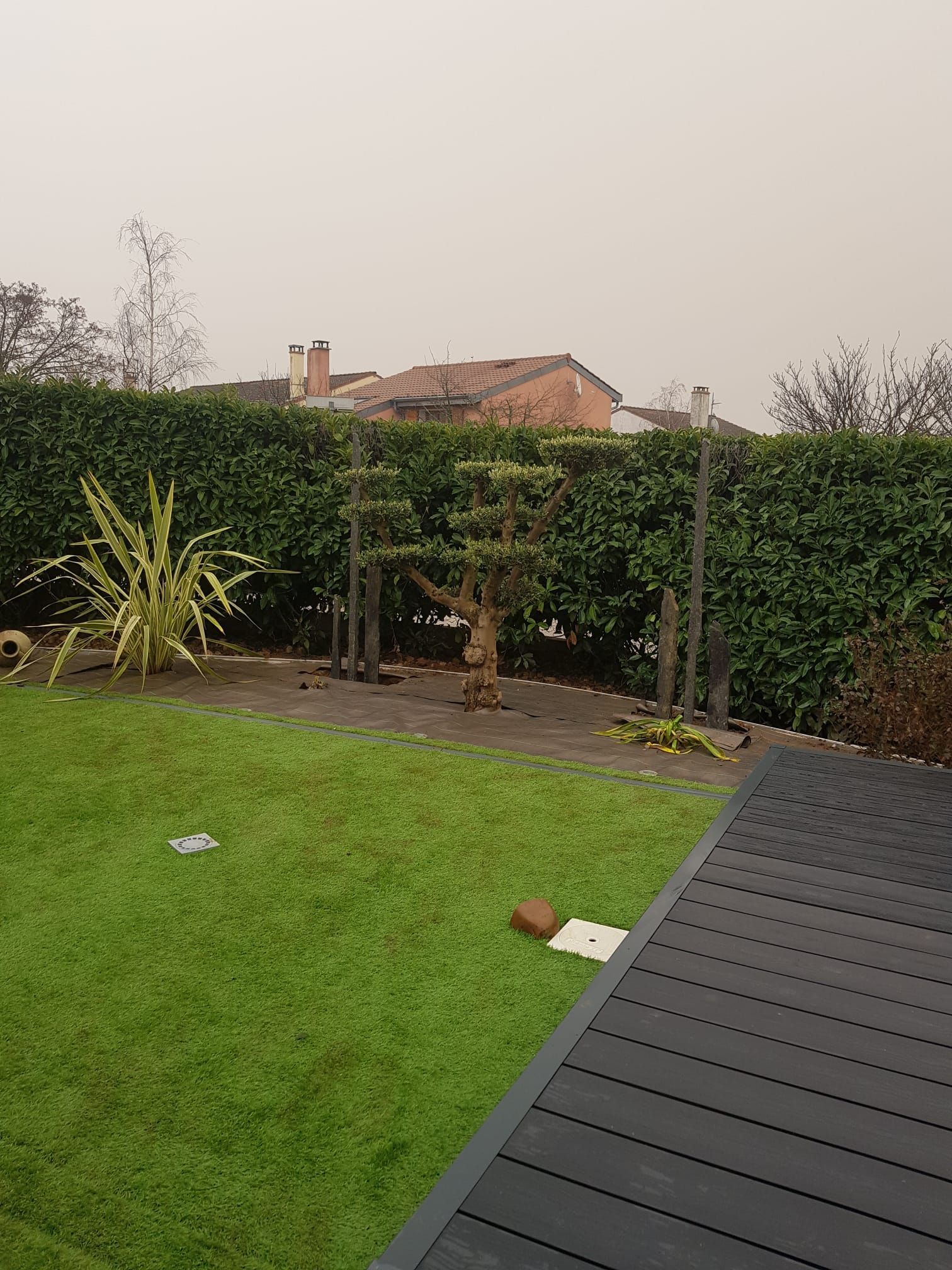 Pelouse arrière avec haie, petits arbres et terrasse sous un ciel couvert
