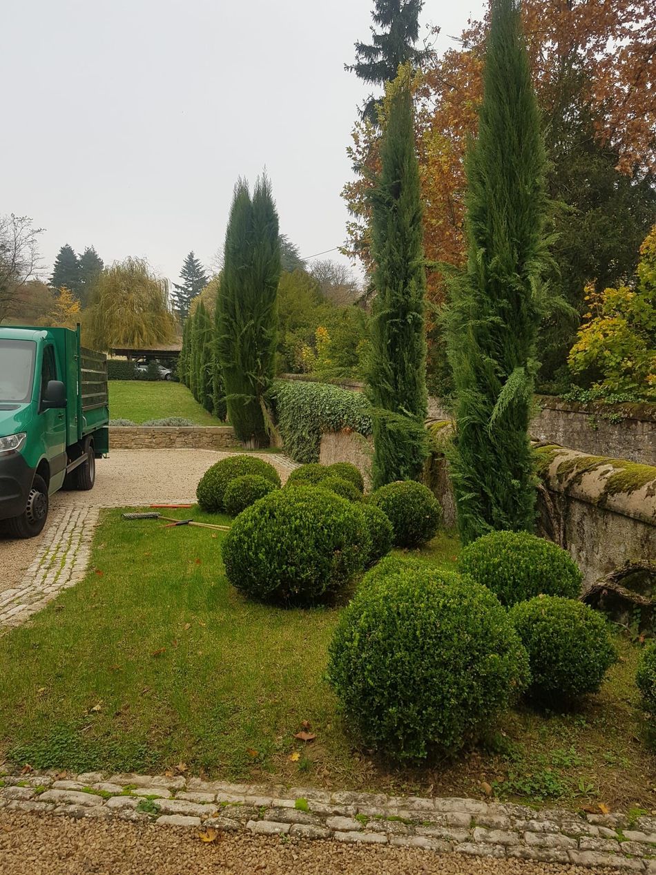 Des arbustes topiaires soigneusement taillés dans un jardin paysager, à côté d'une camionnette verte, par une journée nuageuse.