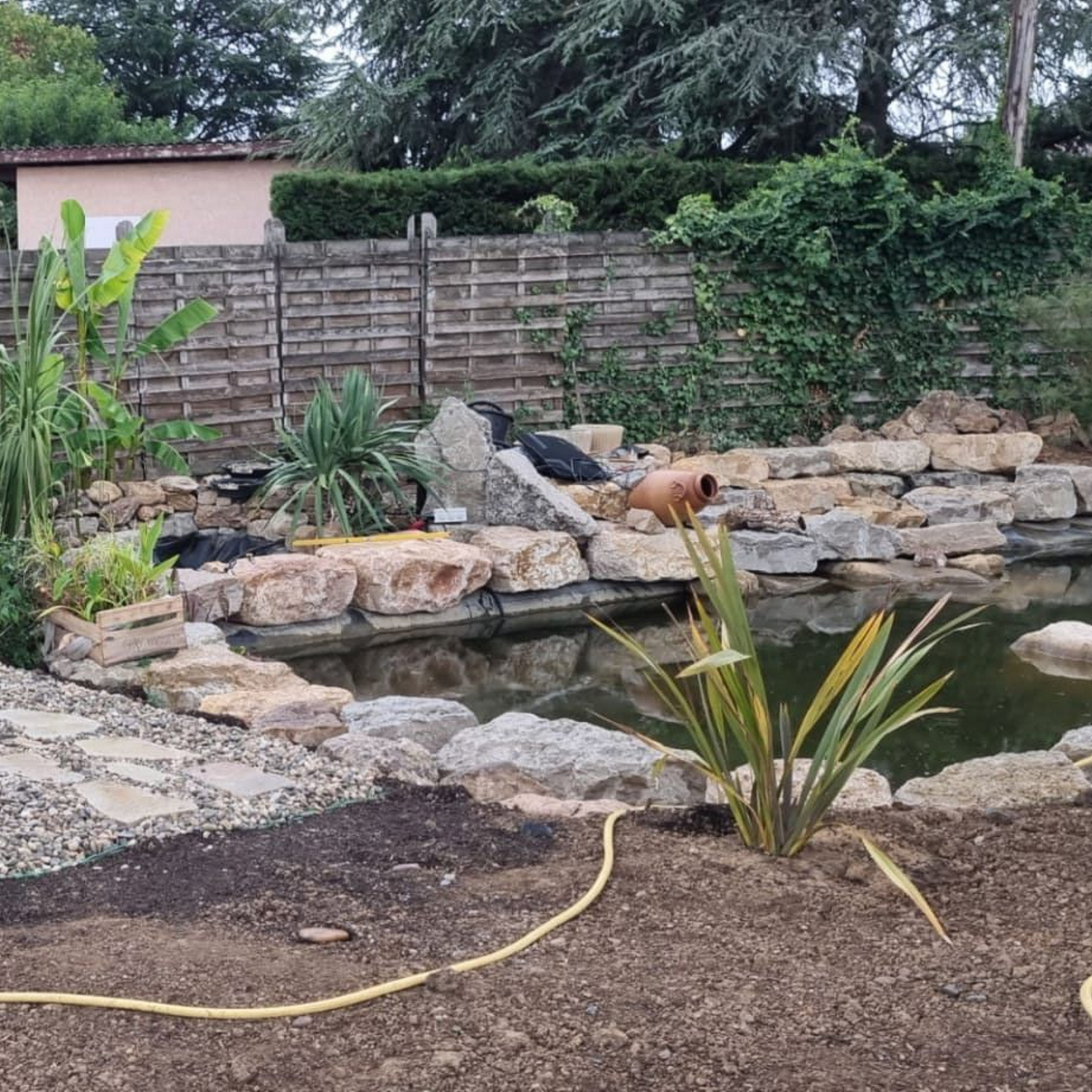 Un bassin de jardin avec des pierres, des plantes et un tuyau d'arrosage.