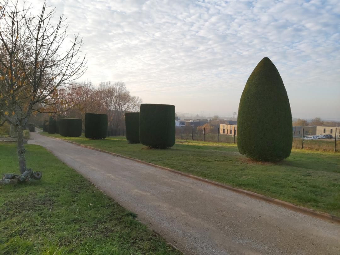 Chemin de gravier traversant un parc herbeux aux haies taillées et un arbre solitaire sous un ciel nuageux
