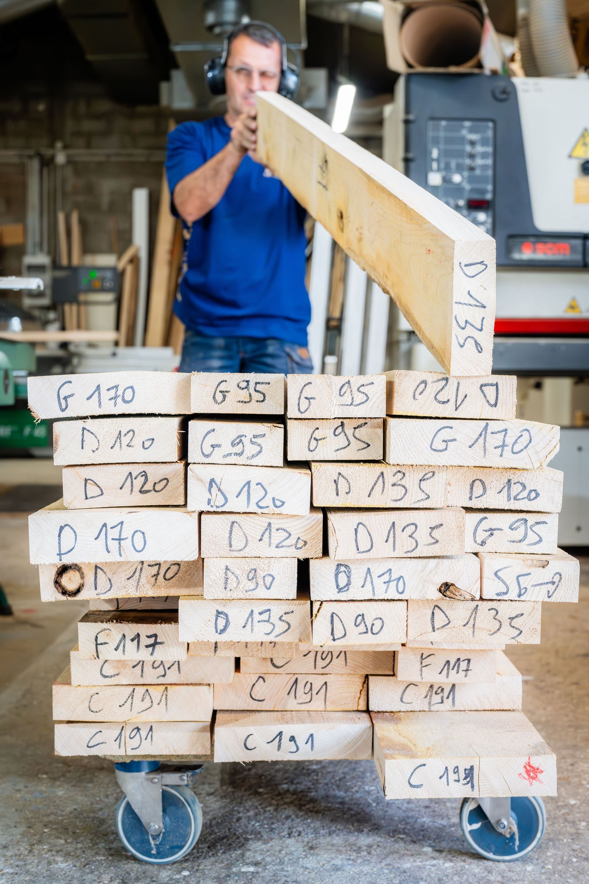 Diverses sections de bois annotées