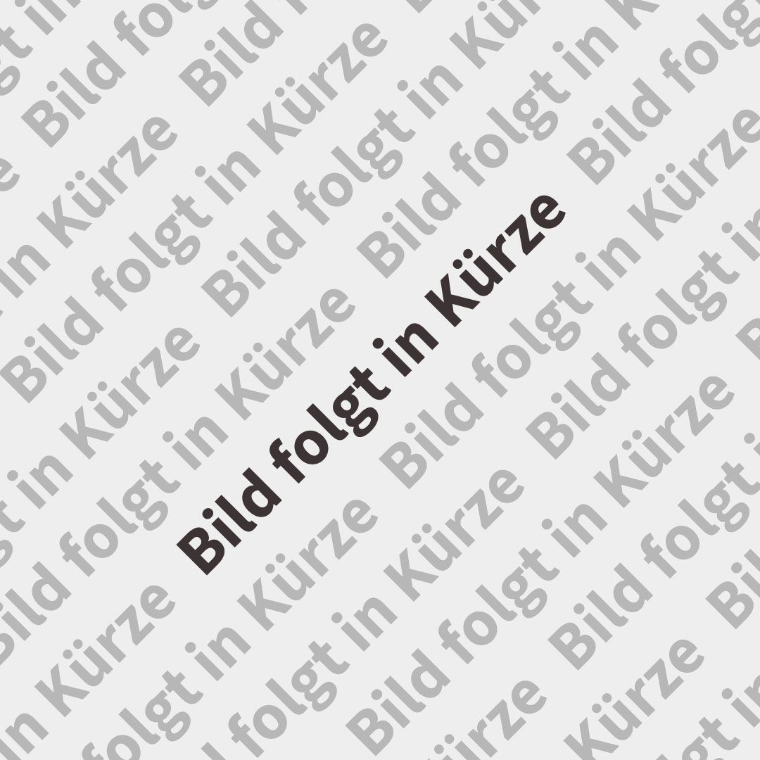 Grauer Platzhalterhintergrund mit diagonal verlaufendem, wiederholtem Text „Bild folgt in Kürze“.