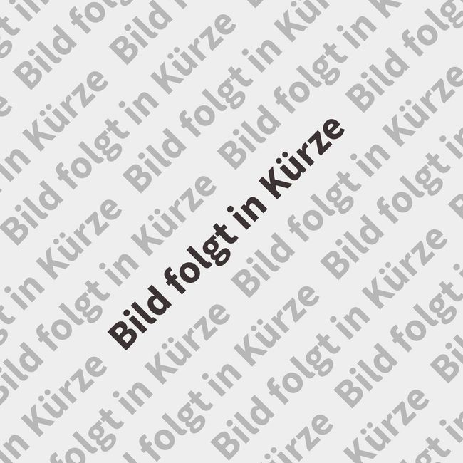 Diagonales graues deutsches Textmuster mit einem fettgedruckten schwarzen Schriftzug „Bild folgt in Kürze“ in der Mitte.