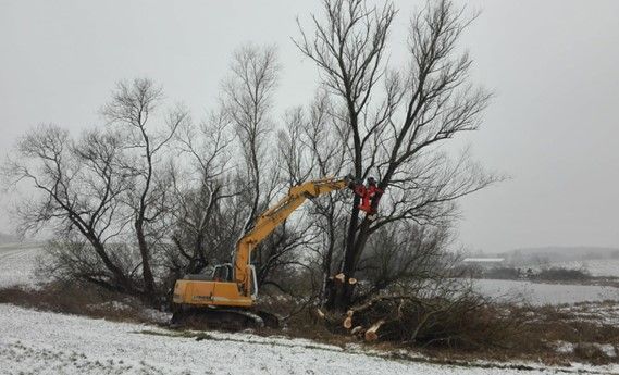 STOCKERL Energieholz