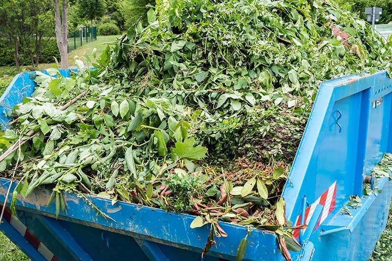 STOCKERL Energieholz