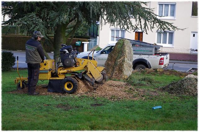 Faire Enlever Une Souche D Arbre A Carhaix Plouguer