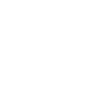 Icon Auto und Schneeflocke