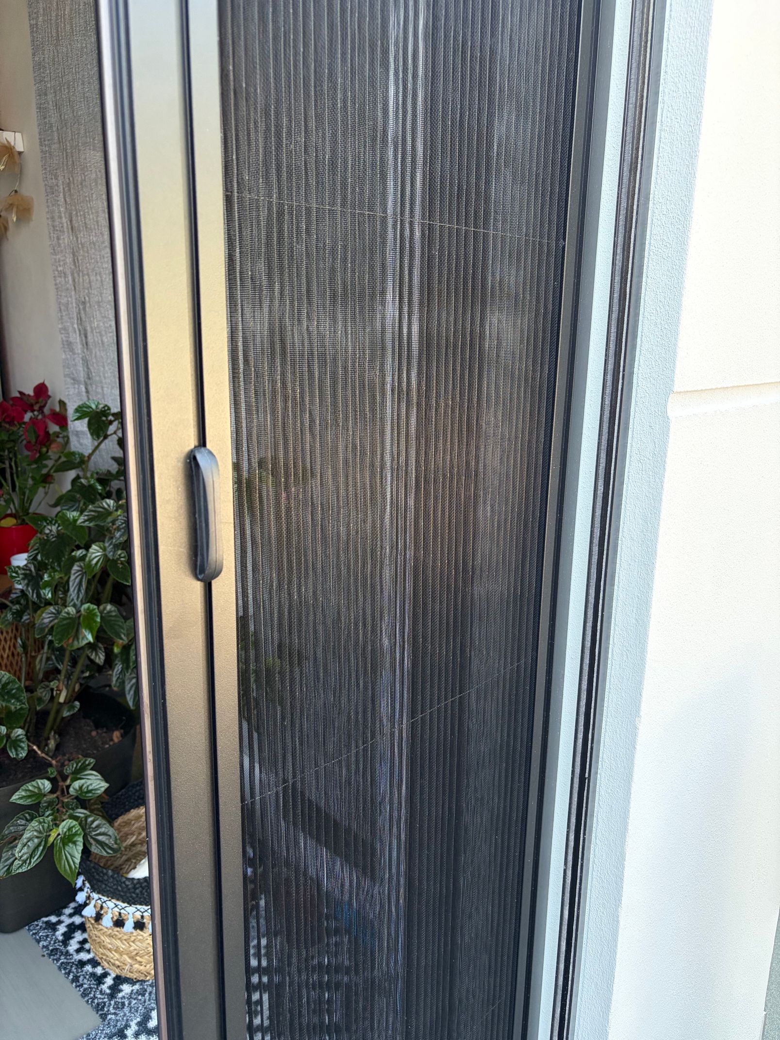 Un rideau de perles noires dans l'embrasure d'une porte, à côté d'un mur clair et d'une plante en pot.