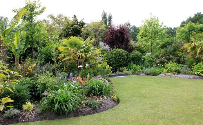 Bordure de jardin avec des arbustes et des fleurs jouxtant une pelouse soigneusement tondue.